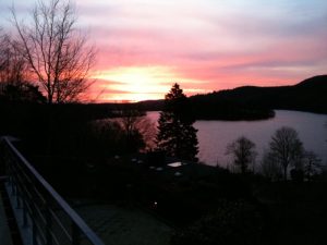 Natur i Vesterlund