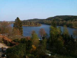 Natur i Vesterlund