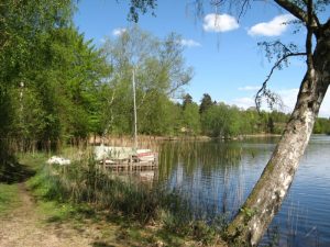 Natur i Vesterlund