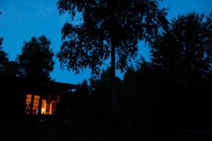 Natur i Vesterlund