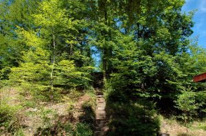 Natur i Vesterlund