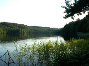 Natur i Vesterlund