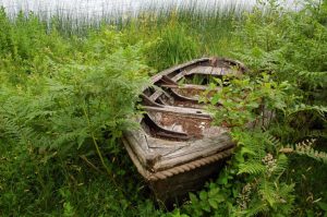 Natur i Vesterlund