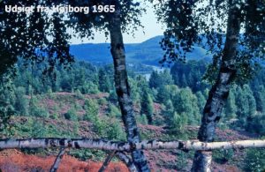 Historisk sted i Vesterlund