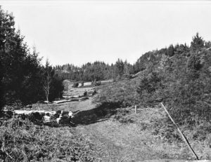 Vesterlund, historisk billede