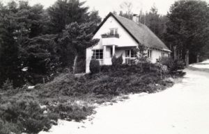 Nr. 194 (1960erne)