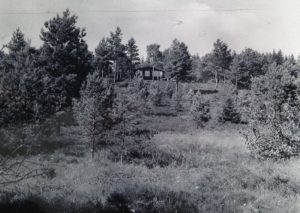 Nr. 208