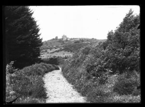Højborg ca. 1910. Fotograf Hans Pors. Venligst udlånt af Silkeborg Arkiv.