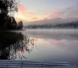 Tilfrossen sø ved Vesterlund med badebro i vintersol